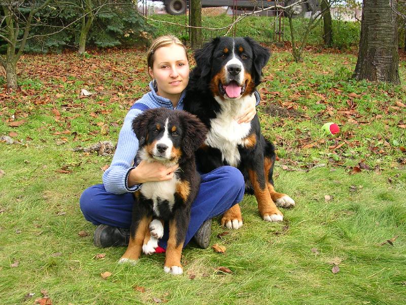 Foto: Max a Sam-nejlep�� kamar�di