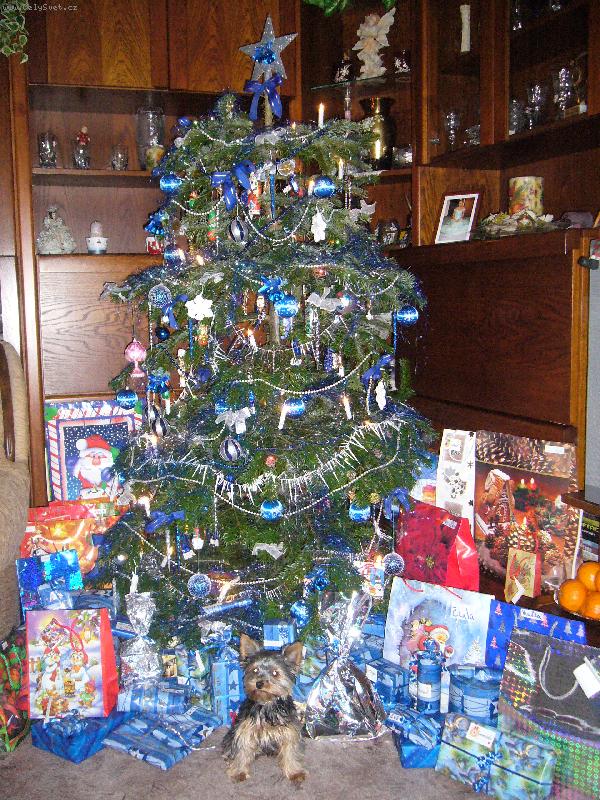 Foto: bude tam i nejaky pro me?