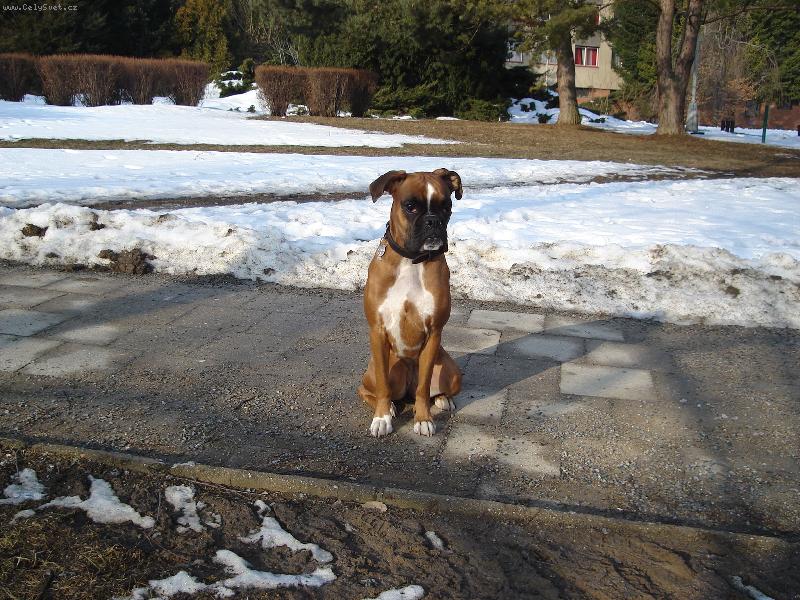 Foto: Athea-J� ji prost� miluju...