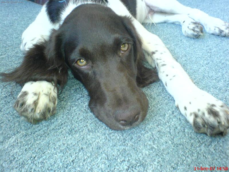 Foto: Argo - 7 m�s�c�