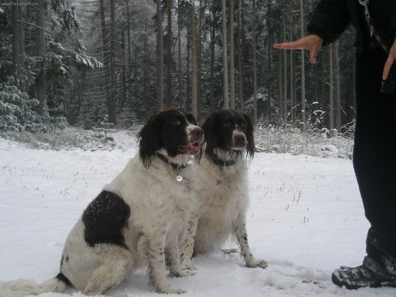 Foto: S�ra a Saly Buremi