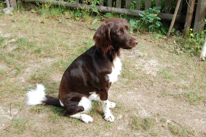 Foto: MMO Grey z Rozbornu