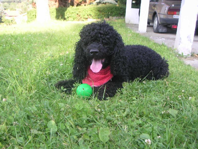 Foto: Ben��ek-Hrajeme si...:)