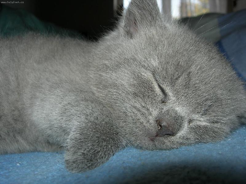 Foto: Mazlik-Dobrou...