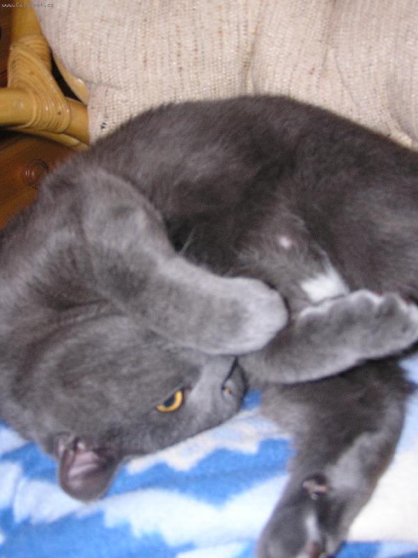 Foto: odpo��v�m, neru�it! :-) IV