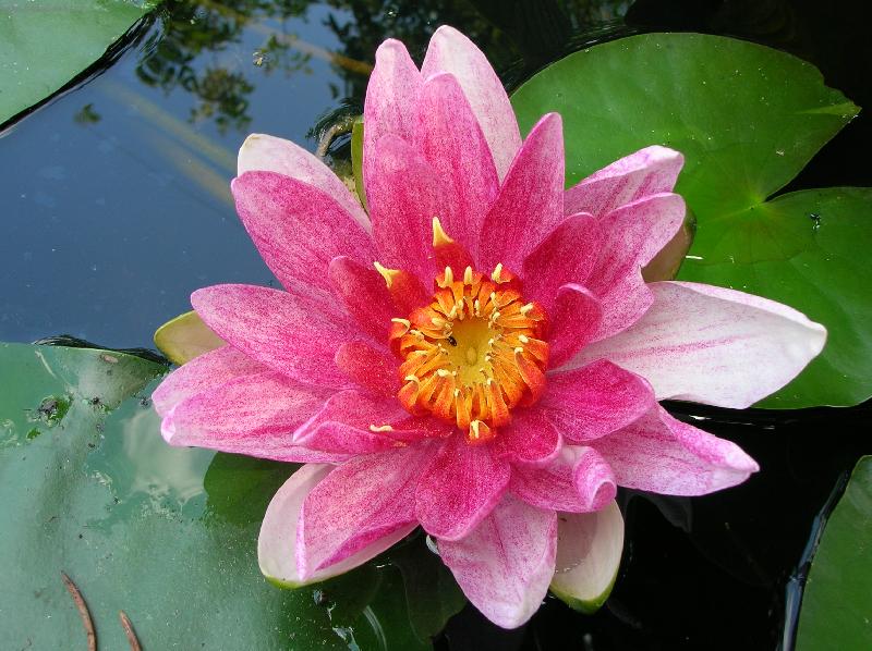 Foto: Lekn�n-Na jez�rku